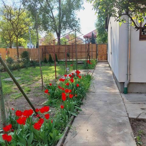 Ujszeged Apartman Bagian luar foto
