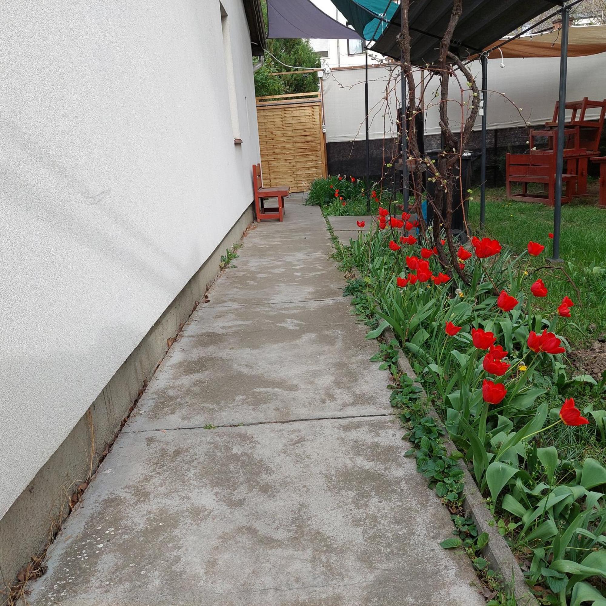 Ujszeged Apartman Bagian luar foto